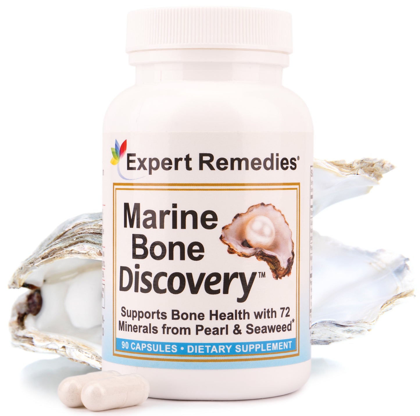 Marine Bone Discovery - Bone Foundation