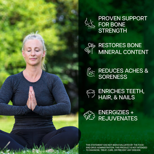 Marine Bone Discovery