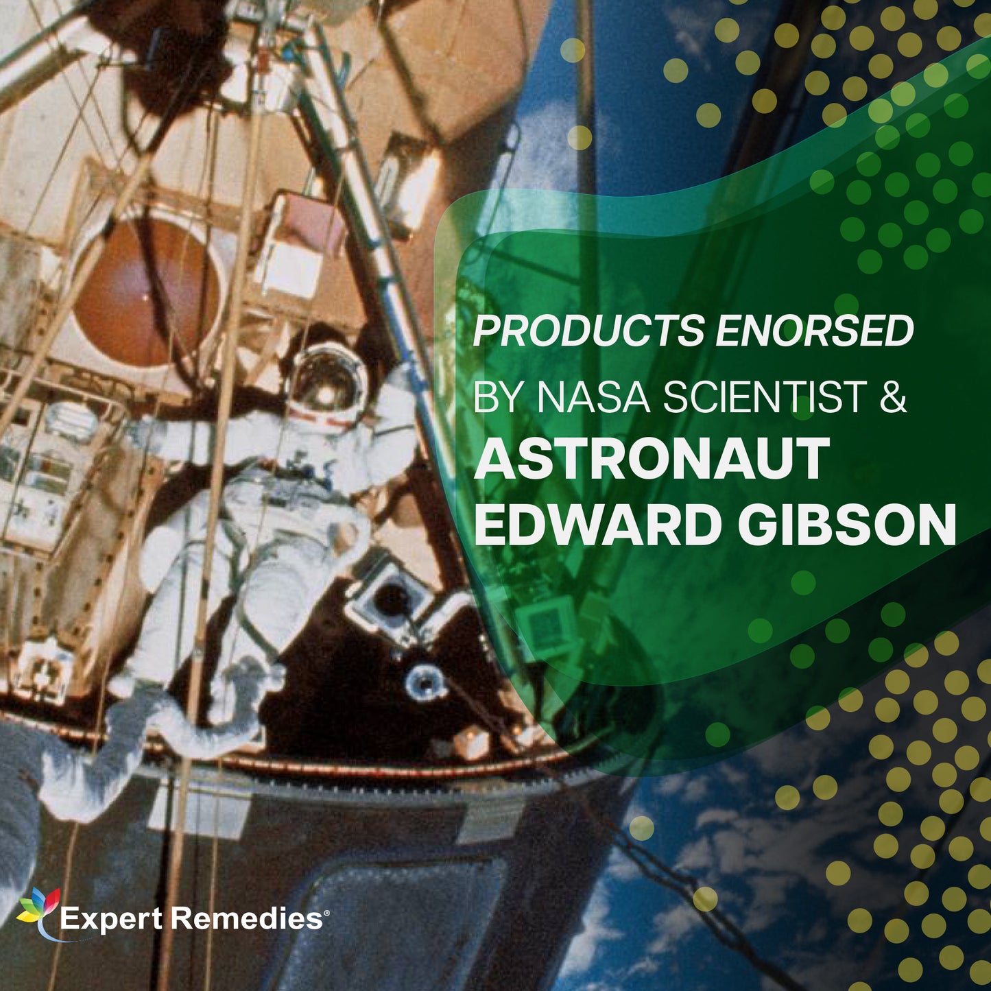 Marine Bone Discovery